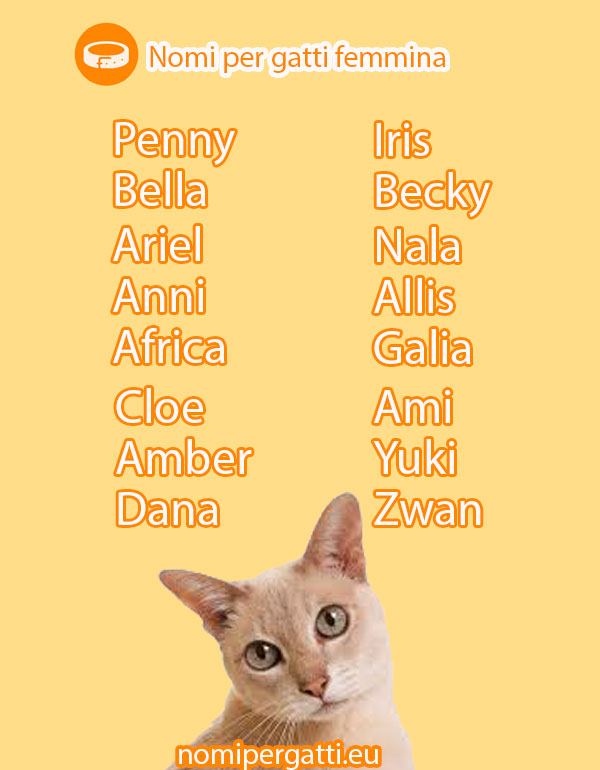 nomi per gatte femmine 